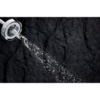 Forte 4-Spray 4-3/4 in. Raincan Handshower in Brushed Chrome