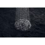 Forte Katalyst 1-Spray 5.5 in. Dia Showerhead in Polished Chrome