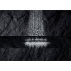 Forte Katalyst 1-Spray 5.5 in. Dia Showerhead in Polished Chrome