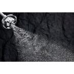 Flipside 4-Spray Multifunction Handshower in Polished Chrome