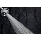 Flipside 4-Spray Multifunction Handshower in Polished Chrome